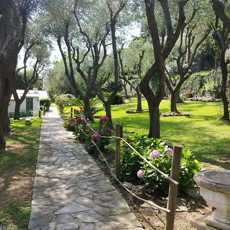 Casa Delle Olive Villa