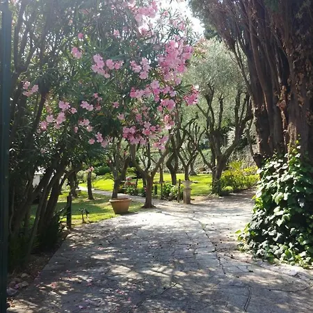 Casa Delle Olive