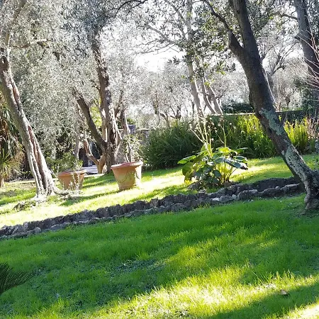 Villa Casa Delle Olive